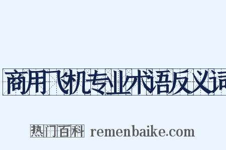 商用飞机专业术语反义词是什么意思的图片